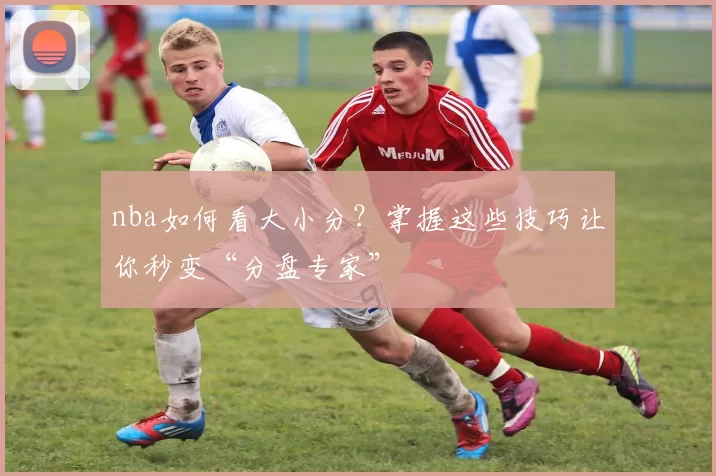 nba如何看大小分？掌握这些技巧让你秒变“分盘专家”