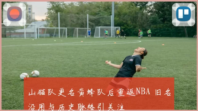 山猫队更名黄蜂队后重返NBA 旧名沿用与历史脉络引关注
