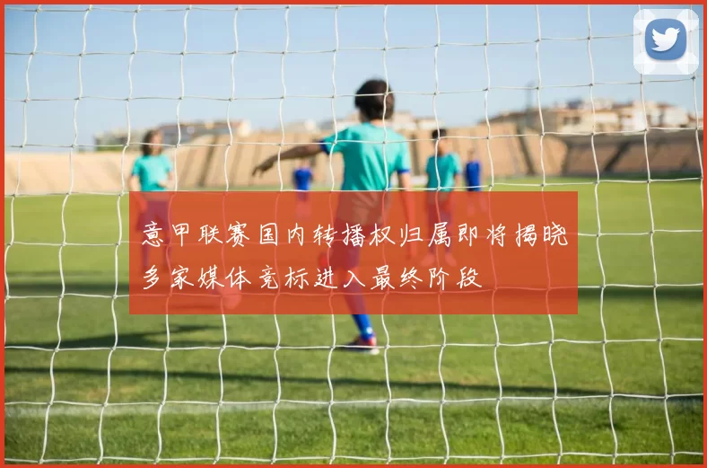 意甲联赛国内转播权归属即将揭晓多家媒体竞标进入最终阶段