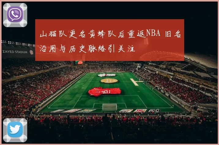 山猫队更名黄蜂队后重返NBA 旧名沿用与历史脉络引关注
