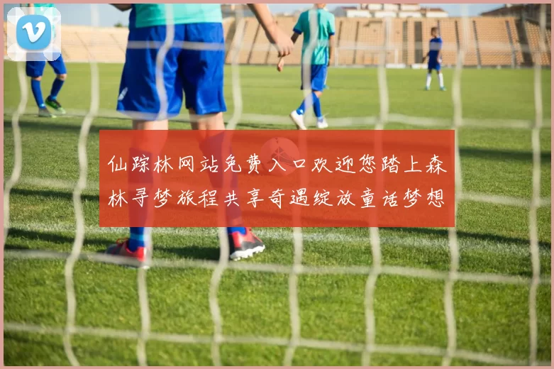 仙踪林网站免费入口欢迎您踏上森林寻梦旅程共享奇遇绽放童话梦想